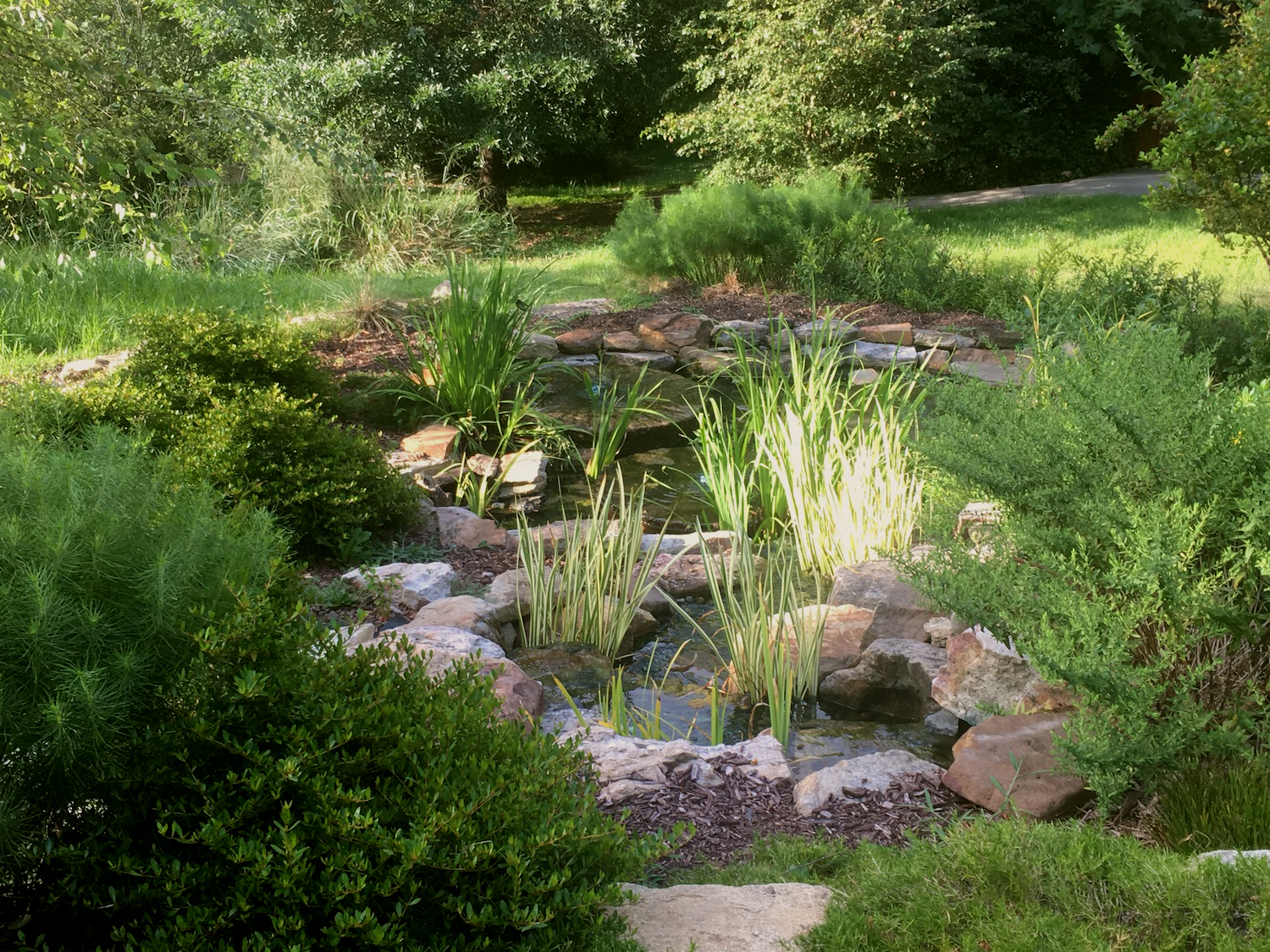 Caswell County Arboretum